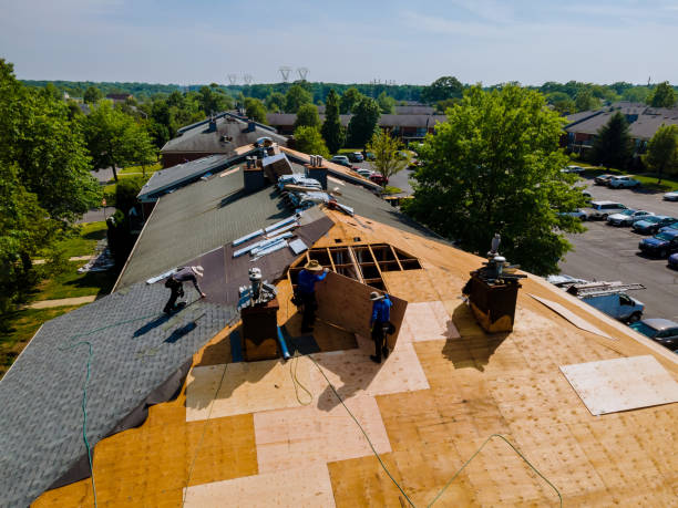 Best Flat Roof Repair Services  in Rising Sun, MD