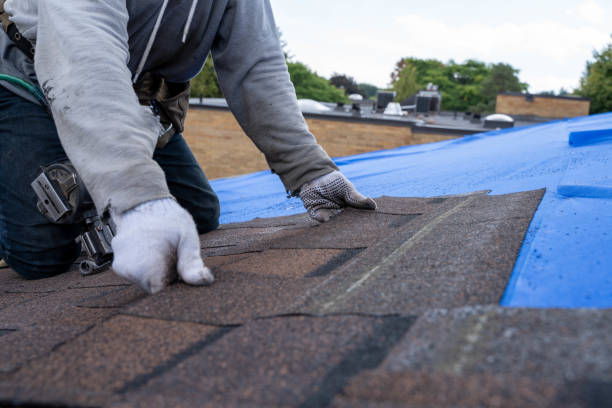 Best Shingle Roofing Installation  in Rising Sun, MD