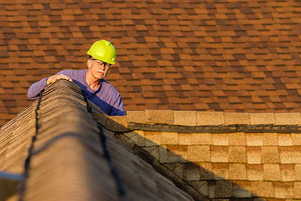 Best Roof Repair Services  in Rising Sun, MD